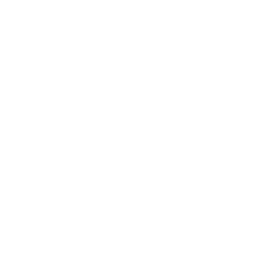 Our Team