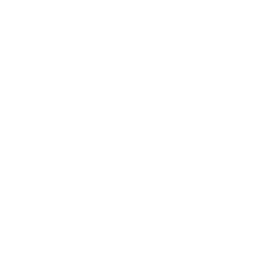 vision